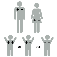 father is + - Rh-positive, mother is + - Rh-positive