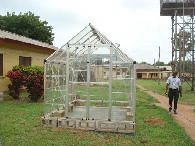 Jaundice Greenhouse