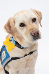 Donatella, Packard Paws Program at Stanford Children's