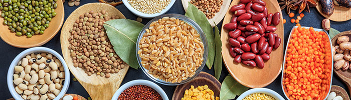 Gluten free legumes