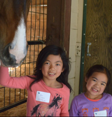 Girls playing with horse